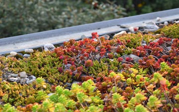 the cost of Achtoty green roof installation